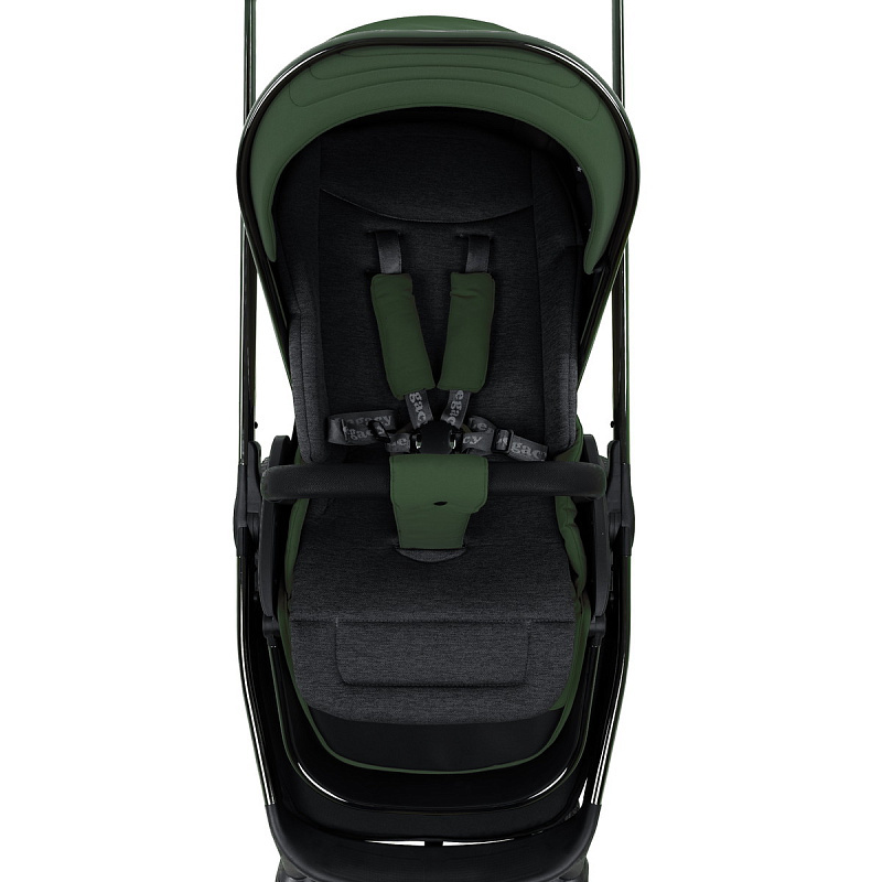 Коляска 2в1 Pituso Mayla Luxury Forest Green