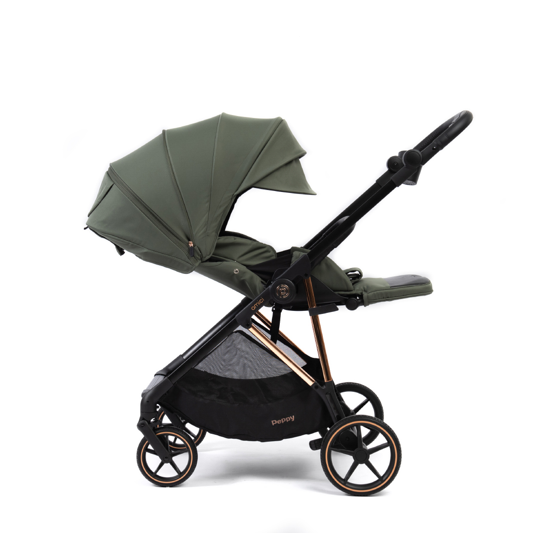 Коляска прогулочная Peppy Amici LX Green (рама Gold)