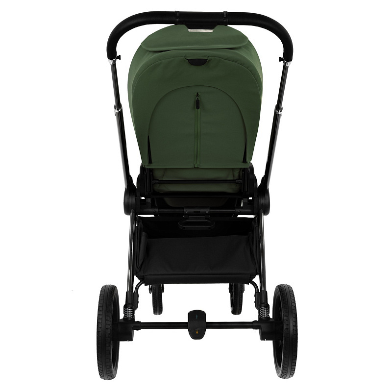 Коляска 2в1 Pituso Mayla Luxury Forest Green